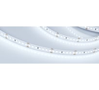 Светодиодная лента Arlight RT 2-5000 24V Cool 8K 3x0190921 5 м 019092(1)