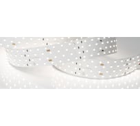 Светодиодная лента Arlight RT 2-2500 24V Day5000 4x2 2,5 м 025158(1)