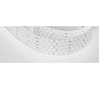 Светодиодная лента Arlight RT 2-2500 24V Day5000 5x2 2,5 м 025162(1)