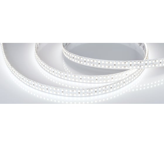 Светодиодная лента Arlight RT-5000-2835-320 24V Cool 8K 5 м 031369