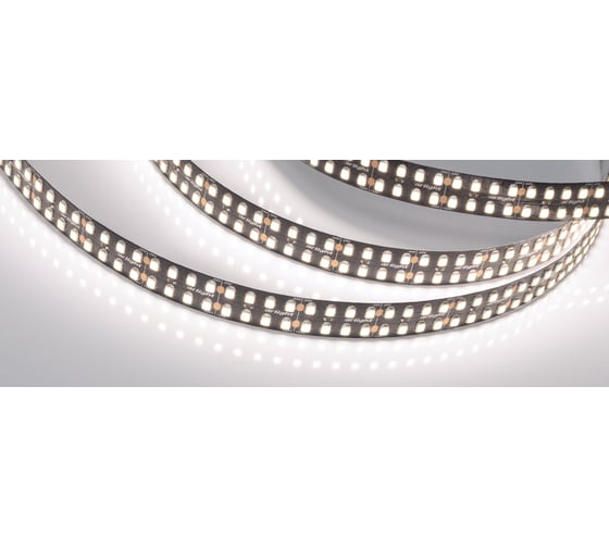 Светодиодная лента Arlight RT-5000-2835-320 24V White6000 5 м 032606 1