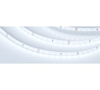 Светодиодная лента Arlight RT 2-5000 24V Cool 8K 1.6x5 м 0199121