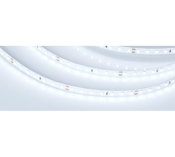 Светодиодная лента Arlight RT 2-5000 24V Cool 8K 1.6x5 м 0199121 1