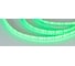 Светодиодная лента Arlight RTW 2-5000PGS 12V Green 2x 012288 1