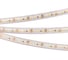 Светодиодная лента Arlight RTW2-5000PS 12V Day4000 2x 5 м 022319 2
