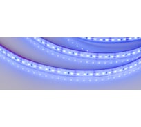 Светодиодная лента Arlight RTW 2-5000PGS 12V Blue 2x5 м 013392