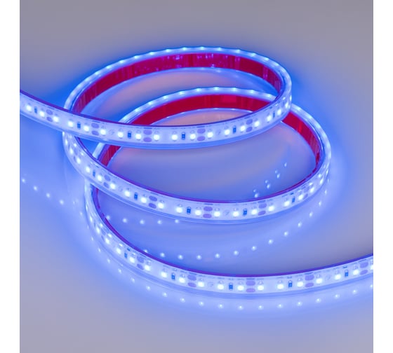 Светодиодная лента Arlight RTW 2-5000PGS 12V Blue 2x5 м 013392
