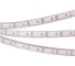 Светодиодная лента Arlight RTW 2-5000PGS 12V Blue 2x5 м 013392 2
