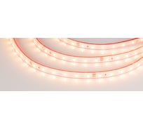 Светодиодная лента Arlight RTW 2-5000PS-50m 24V Warm2700 50 м 024566