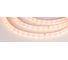 Светодиодная лента Arlight RTW 2-5000PS-50m 24V Warm2700 50 м 024566 1