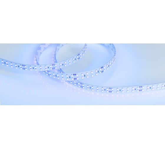Светодиодная лента Arlight RT 2-5000 24V Blue 2x2 5 м 008769 1