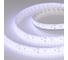 Светодиодная лента Arlight RTW 2-5000SE 24V Cool 2x2 5 м 014722 7