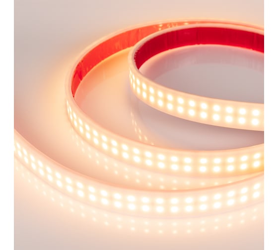 Светодиодная лента Arlight RTW 2-5000PW 24V Warm2700 2x2 5 м 018999