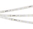 Светодиодная лента Arlight RT-20000 24V White6000 025009 1