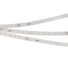 Светодиодная лента Arlight RT-50000 48V White5500 50 м 025015 2