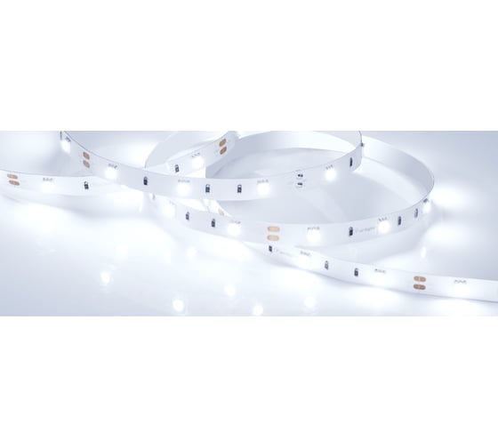 Светодиодная лента Arlight RT 2-5000 12V Cool 8K 5 м 016890 1