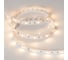 Светодиодная лента Arlight RT 2-5000 12V Warm2400 5 м 018102 2