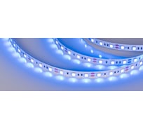 Светодиодная лента Arlight RT 2-5000 12V Blue 2x5 м 012336