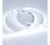 Светодиодная лента Arlight RT 6-5050-96 24V Cool 10K 3x 5 м 018731
