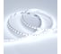 Светодиодная лента Arlight RT 6-5050-96 24V Cool 10K 3x 5 м 018731 1
