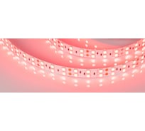 Светодиодная лента Arlight RT 2-5000 24V Red 2x2 5 м 011258