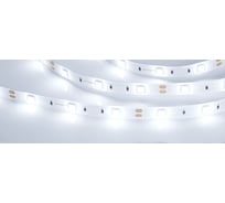 Светодиодная лента Arlight RTW 2-5000SE 12V Cool 5 м 016834