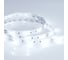 Светодиодная лента Arlight RTW 2-5000SE 12V Cool 5 м 016834 5