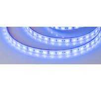 Светодиодная лента Arlight RTW 2-5000PGS 12V Blue 2x5 м 013406