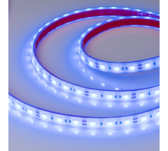 Светодиодная лента Arlight RTW 2-5000PGS 12V Blue 2x5 м 013406