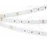 Светодиодная лента Arlight RTW 2-5000SE 24V Blue 2x 017482 5 м 017482(1) 3