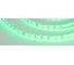 Светодиодная лента Arlight RTW 2-5000SE 24V Green 2x5 м 016505 1