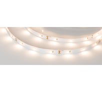 Светодиодная лента Arlight RT 6-5000 12V Warm 3000K 5 м 019675