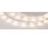Светодиодная лента Arlight RT 6-5000 12V Warm 3000K 5 м 019675 1