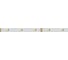 Светодиодная лента Arlight RT 6-5000 12V Warm 3000K 5 м 019675 3