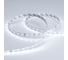 Светодиодная лента Arlight RT 2-5000-50m 24V White5500 024522 1