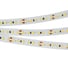 Светодиодная лента Arlight IC2-20000 24V Warm3000 2x12mm 20 м 024592 2