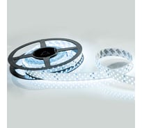 Светодиодная лента Arlight RT 2-5000 24V Cool 8K 3x2 5 м 019924