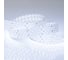 Светодиодная лента Arlight RT 2-2500 24V Cool 8K 4x2 2,5 м 019084 2