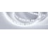 Светодиодная лента Arlight MICROLED-5000HP 24V White5500 8mm 024426 6