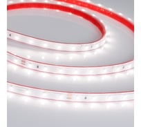 Светодиодная лента Arlight RTW 2-5000PS-50m 24V Day4000 50 м 024564