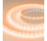 Светодиодная лента Arlight RT-B60-10mm 12V Orange 5 м 015972(2) 6