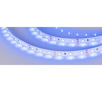 Светодиодная лента Arlight RT 2-5000 12V Blue 5 м 010523(1)