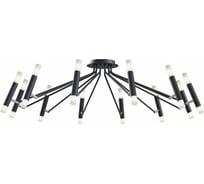 Потолочный светильник MAYTONI Vigo 24хG9x25 W MOD620CL-24B