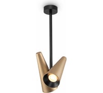 Потолочный светильник MAYTONI Giro 2хGU10x50 W MOD095CL-02BS