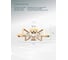 Люстра ARTE LAMP на штанге BRUSSELS A8030PL-8WH 3