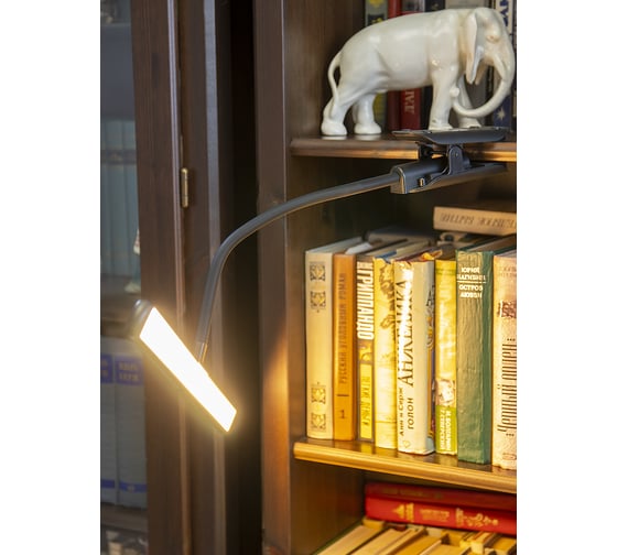 Светодиодный светильник Лючия L555 "FLEX Accu Clip" черный аккумулятор на прищепке 10W 3000K 4606400512820