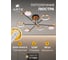 Люстра ARTE LAMP HOLLY A1364PL-6PB 2