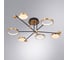 Люстра ARTE LAMP HOLLY A1364PL-6PB 5