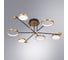 Люстра ARTE LAMP HOLLY A1364PL-6PB 6