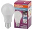 Светодиодная антибактериальная лампа Osram LC CLA60 8,5W/865 230V FR E27 10x1 4058075561014 1